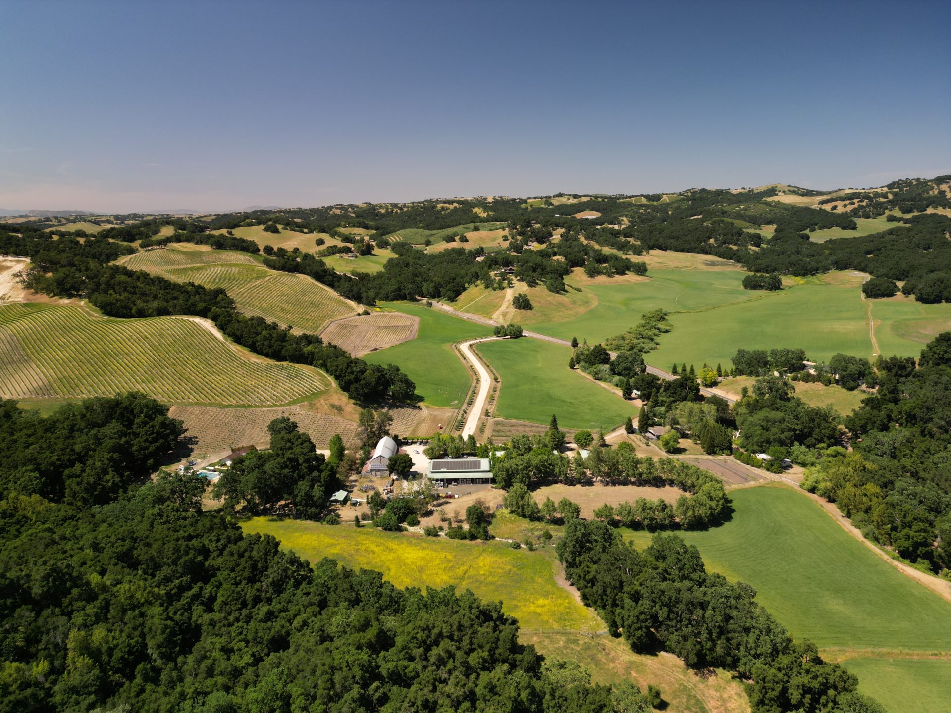 Ultimate Paso Robles Weekend Getaway Travel Guide